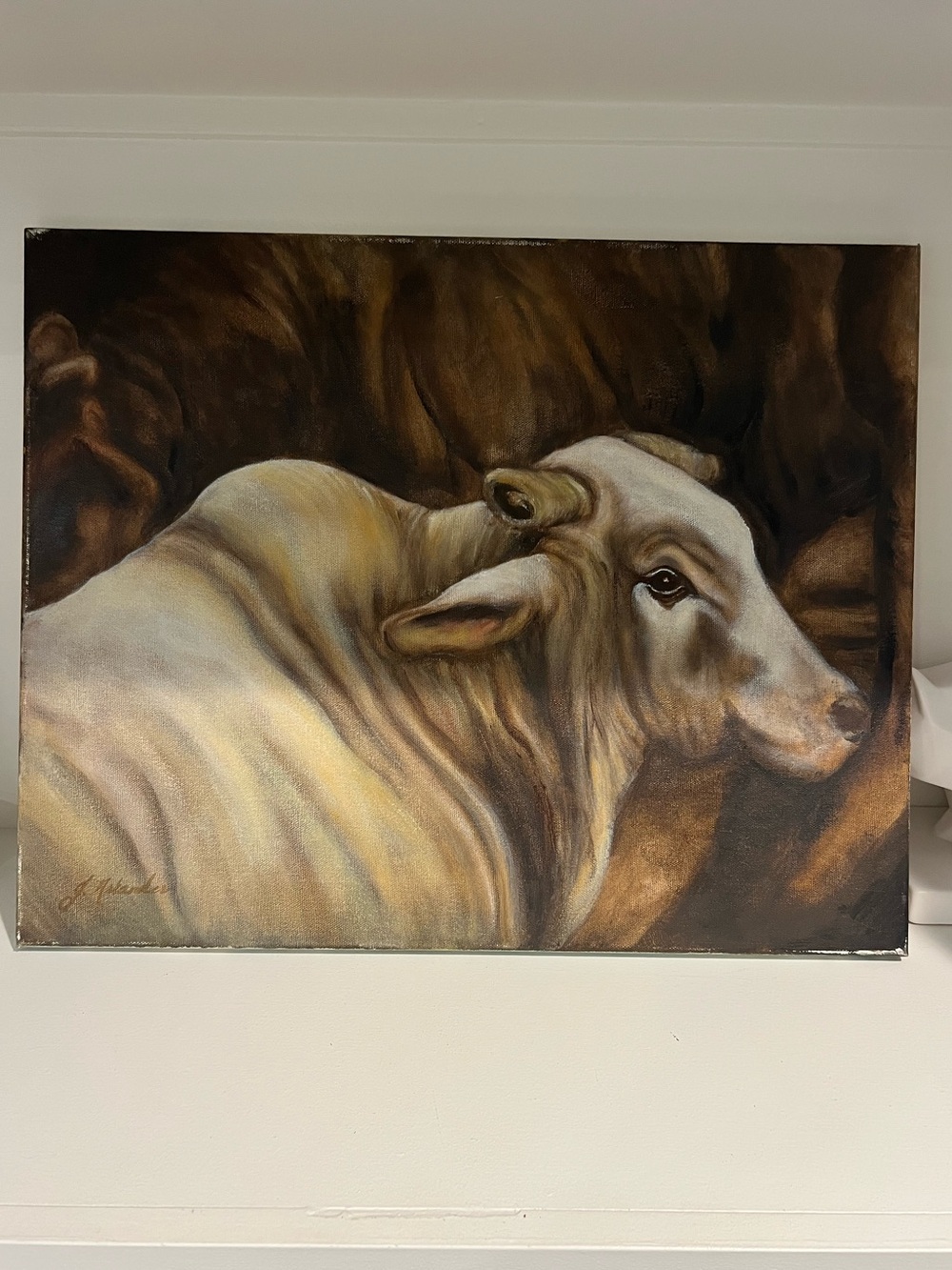 Brahman Bull Cow Original Oil Painting on Canvas 16” x 20”